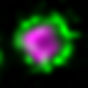 Soft placeholder gallery image